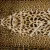 Изображение Хлопок, подписной дизайн ROBERTO CAVALLI