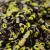 Изображение Креп, цветущий луг