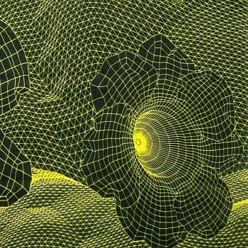 Изображение Шелк натуральный, 3Dцветы на черном