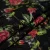 Купить Шелк жаккард, розы на черном, GUCCI в Интернет-Магазине Изображение Шелк жаккард, розы на черном, GUCCI