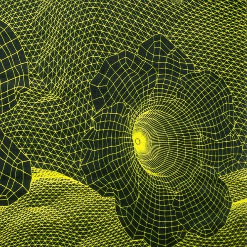 Изображение Шелк натуральный, 3Dцветы на черном