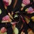 Изображение Трикотаж D&G