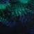 Изображение Тафта купон, сине-зеленый папоротник
