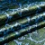 Изображение Шелк, турецкие огурцы, бирюзовый