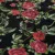Купить Шелк жаккард, розы на черном, GUCCI в Интернет-Магазине Изображение Шелк жаккард, розы на черном, GUCCI