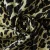 Купить Хлопок стрейч, леопард, дизайн ROBERTO CAVALLI в Интернет-Магазине Изображение Хлопок стрейч, леопард, дизайн ROBERTO CAVALLI