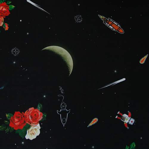 Изображение Плательная ткань, розы и космос