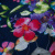 Изображение Трикотаж  вискоза, цветы на темно-синем