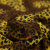 Изображение Шелк шифон натуральный, дизайн леопард