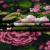 Изображение Трикотаж вискоза, розы на черном
