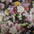 Изображение Шелк с люрексом цветы, D&G