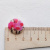 Изображение Пуговица на ножке, плоская, орхидеи, розовый, белый