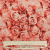 Изображение Шерсть плательная стрейч, дизайн розовые розы