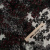 Изображение Трикотаж плотный стрейч, вискоза, густые цветы