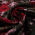 Изображение Тафта, ацетат, красные цветы, дизайн CELINE
