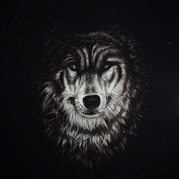 Изображение Трикотаж купон, волк, черный