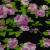 Изображение Жоржет шелковый, цветы, дизайн GUCCI