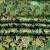 Изображение Атласный шелк натуральный, итальянские огурцы