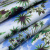Изображение Хлопок сатин, пальмы, острова