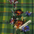 Изображение Трикотаж вязаный стрейч, цветы на зеленой клетке