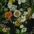 Изображение Крепдешин стрейч из натурального шелка, цветы фотопечать
