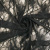 Изображение Кружево французское, черная олива