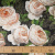 Изображение Жаккард хлопковый с люрексом, цветы, дизайн D&G