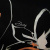 Изображение Жоржет шелковый натуральный, тропики, дизайн подписной DARLING
