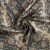 Изображение Хлопок стрейч, рептилия, коричневый, дизайн CAVALLI