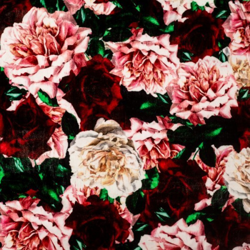 Изображение Бархат розы, пионы, дизайн D&G