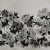 Изображение Лен смесовый, кайма, черные цветы