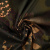 Изображение Хлопок стрейч, силуэты цветов, коричневый, хаки