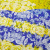 Изображение Трикотаж лайкра, купон вензеля, синий желтый SAVE THE QUEEN