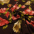 Изображение Трикотаж стрейч, вискоза с эластаном, цветы на темно-коричневом