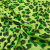 Изображение Батист леопард, салатовый