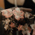Изображение Вышивка на сетке, персиковые цветы