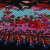 Изображение Трикотаж стрейч, вискоза, ночные цветы