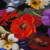 Изображение Крепдешин из натурального шелка, цветы, дизайн D&G
