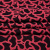 Изображение Жаккард с шерстью, черный, коралл