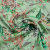 Изображение Креп пастельно-зеленый, вискоза, цветы