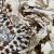 Изображение Плательная ткань цветы, дизайн ETRO