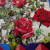 Изображение Шелк натуральный купон платок, розы и геометрия D&G