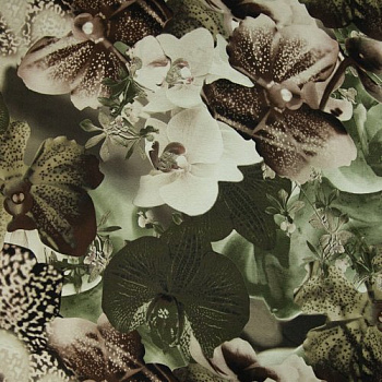 Изображение Трикотаж, вискоза, орхидеи сепия
