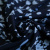 Изображение Штапель, вьюнок, темно-синий