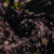 Изображение Жоржет, цветы на черном, дизайн GUCCI