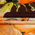 Изображение Шелк натуральный атласный стрейч, цветы акварелью, подписной дизайн FISICO