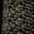 Изображение Жоржет шелковый, цветы, дизайн GUCCI