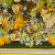 Изображение Трикотаж стрейч, вискоза, богатые цветы