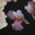 Изображение Атласный шелк натуральный, орхидея