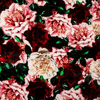 Изображение Бархат розы, пионы, дизайн D&G